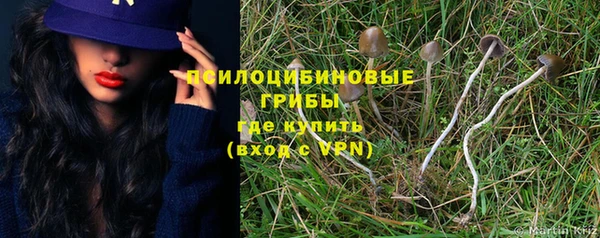 кокс Абдулино