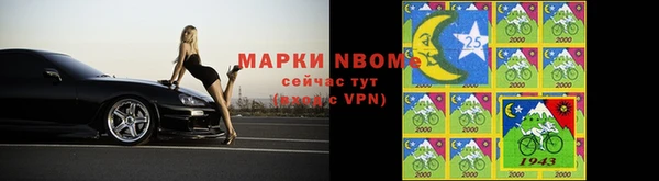 дурь Алексин